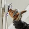 Hunger for Words TALKING PET Doorbell Dzwonek do drzwi